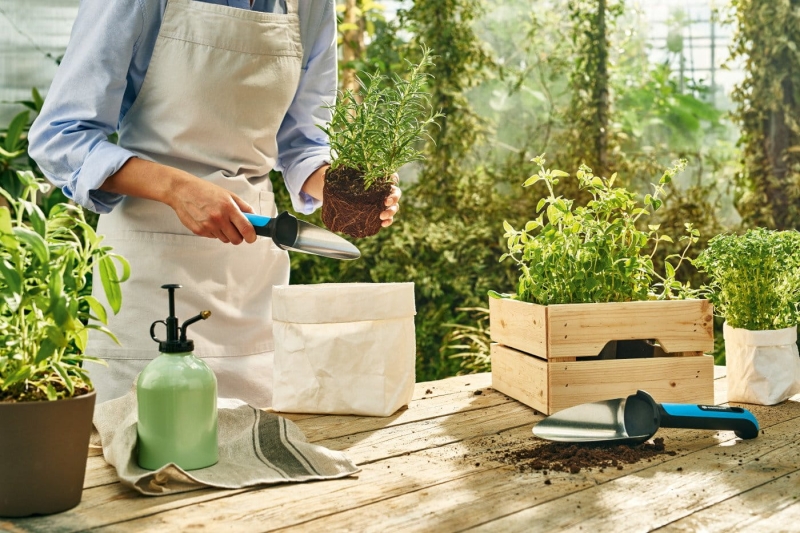 Łopatka wąska Cellfast ERGO
