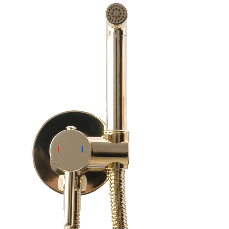 Bateria Bidetowa Loop L.Gold Rea