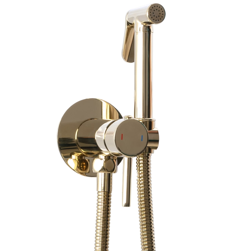 Bateria Bidetowa Loop L.Gold Rea