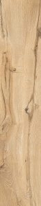 Gres Daring Honey 120x24