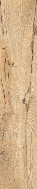 GRES DARING HONEY 24 x120