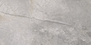gres Masterstone Silver Połysk 60x120 cm Cerrad