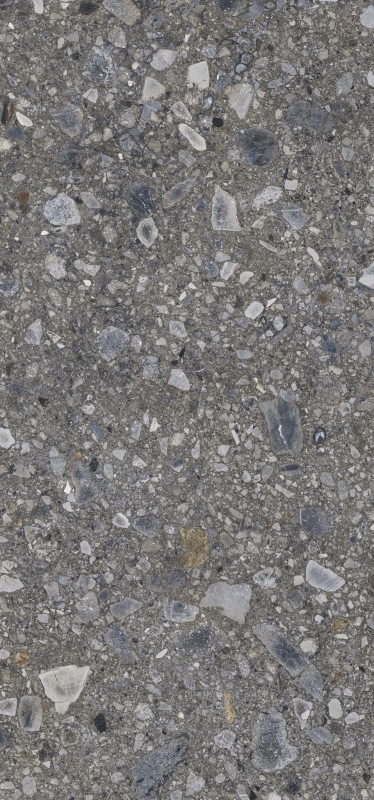Ceppo_Nuovo_graphite_60x120_4_rgb.jpg