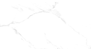 Gres Picasa Carrara Bianco Poler 120x60