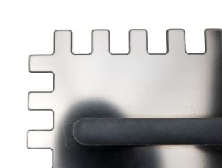 paca Kubala 0258 ząb.JPG