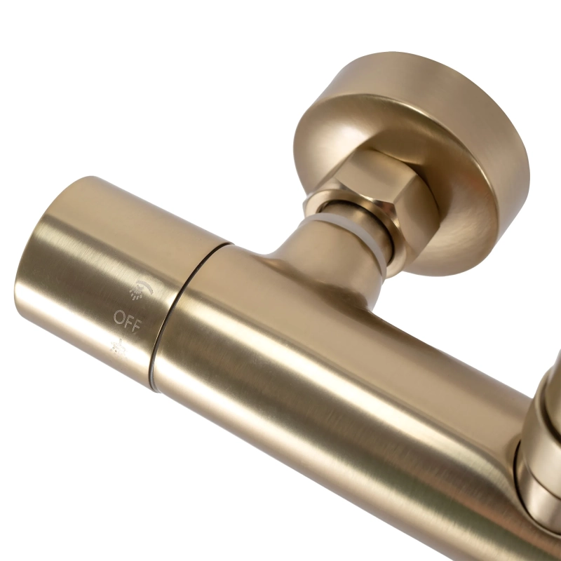 Zestaw natryskowy Rea Parot złoty szczotkowany