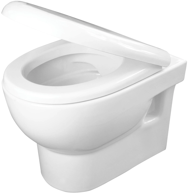 Miska wisząca Deante Avis