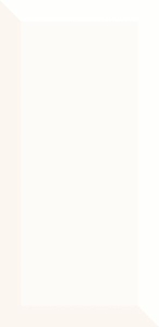 Glazura Paradyż Tamoe Kafel Bianco 9,8x19,8